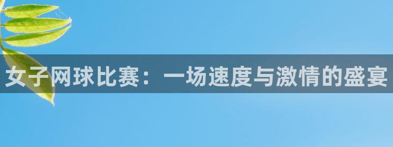 女子网球比赛：一场速度与激情的盛宴