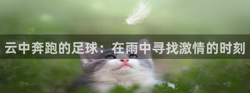 云中奔跑的足球：在雨中寻找激情的时刻