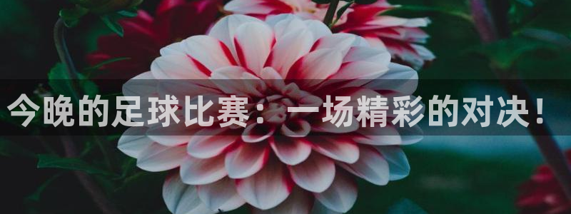 今晚的足球比赛：一场精彩的对决！