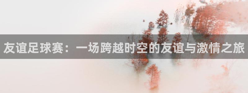 九游体育在线：友谊足球赛：一场跨越时空的友谊与激情之旅